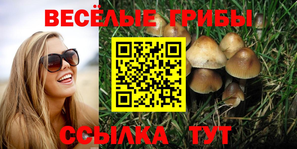 Меф МЯУ МЯУ кристаллы  Заволжье  Вход с VPN  ГАШИШ  Марихуана  Кокаин 